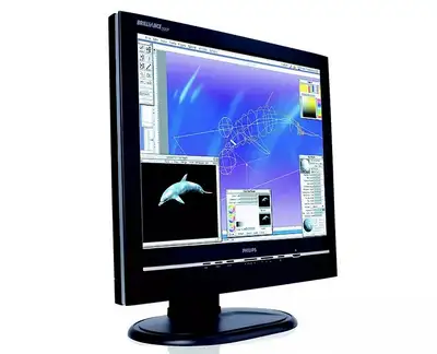 Philips 200P 20" LCD monitor 1600x1200 4:3, View more