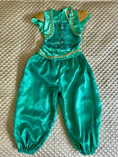Jasmine Halloween Costume 5-6, View more