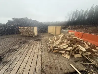 Seasoned 3 years Split tamarack and birch firewood TRUE FULL CORDS!! Tamarack $350/cord Birch $500/c...