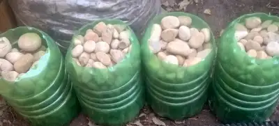 Free rocks/dirt/gravel, View more