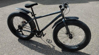 Mongoose Mushaboom 26" Fat Tire Bike