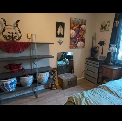 pet friendly room rental