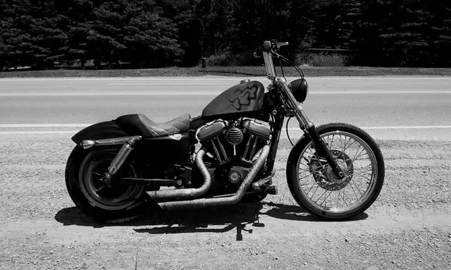 2008 sportster XLC in Street, Cruisers & Choppers in Markham / York Region - Image 2