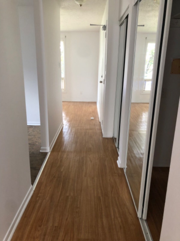 Appartement 4 1/2 à louer à Gatineau (secteur MontBleu) Long Term