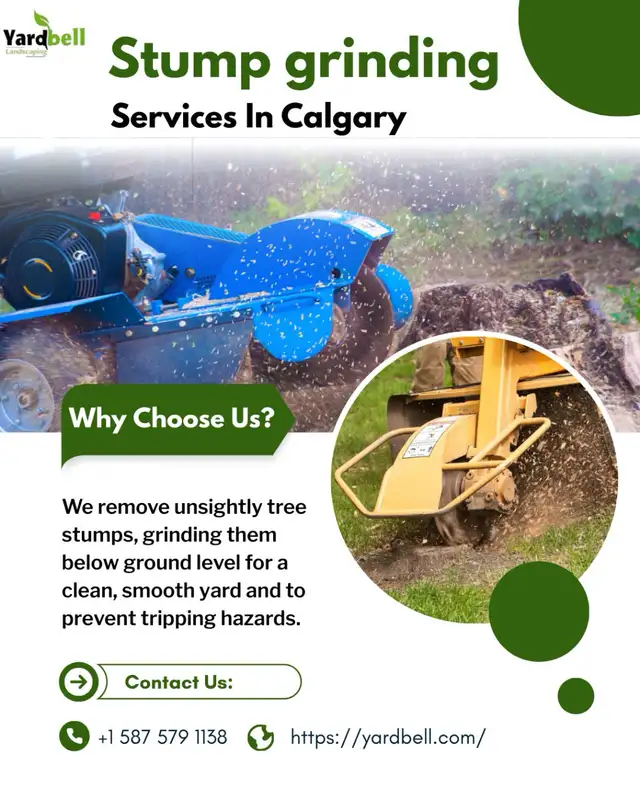 Tree Cutting & Pruning - Calgary and Nearby areas62864353926530122
