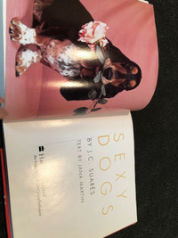Book entitled Sexy Dogs