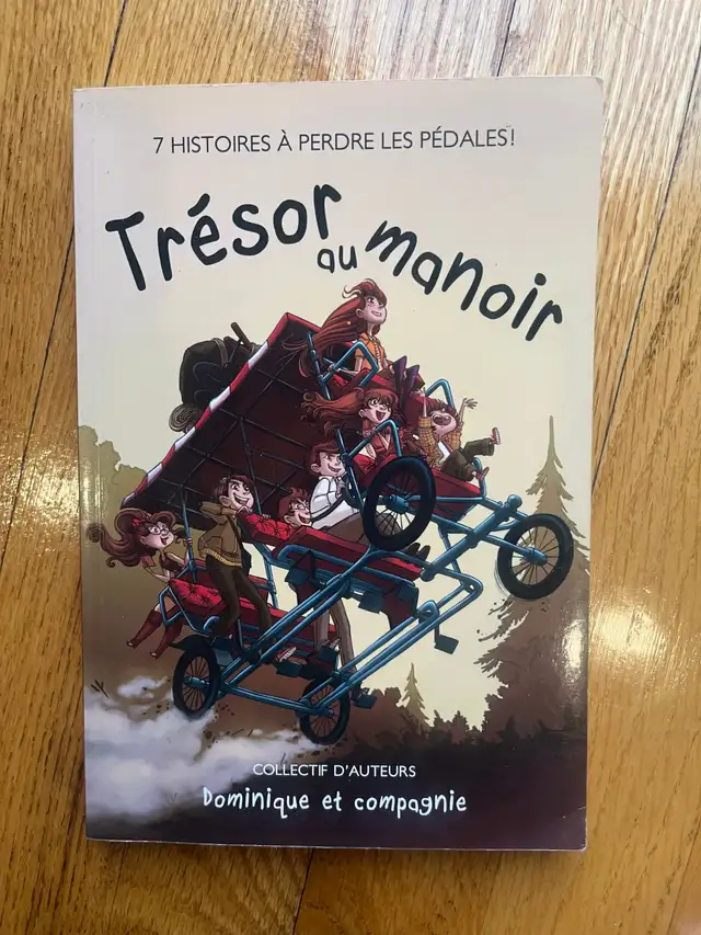 LIVRE ENFANT ADO JEUNESSE  (prix dans description) in Children & Young Adult in Longueuil / South Shore - Image 3