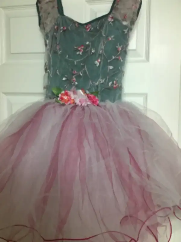 Youth Green and Pink Dance Dress62863739203202121