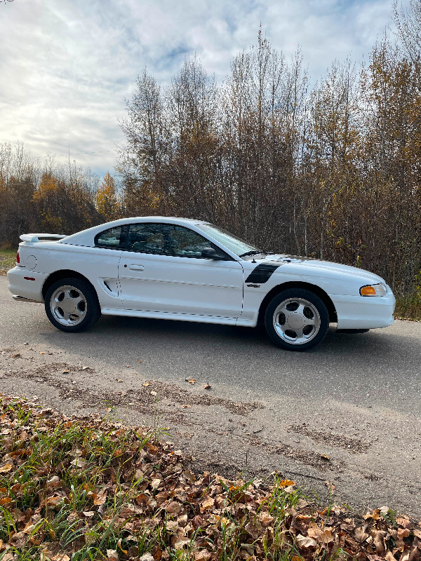 1 of 1, 1998 Mustang GT in Classic Cars in Grande Prairie - Image 3