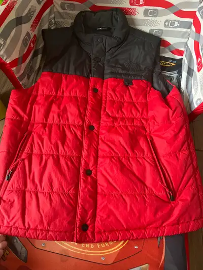 The Northface winter vest in perfect condition. just used it a couple of times. Medium size