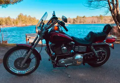 1999 Harley Dyna Wide Glide FXDWG in excellent condition.