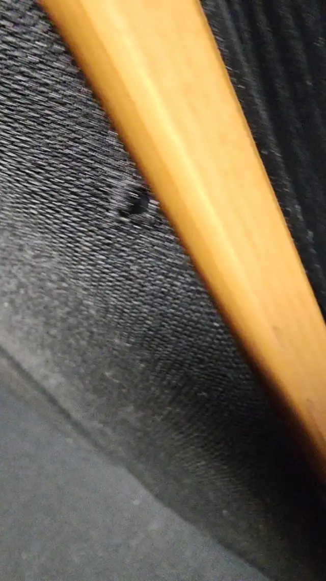 Tannoy Mercury M1 Cherry  Bookshelf Speakers in Speakers in Ottawa - Image 10