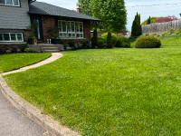 Lawn and garden maintenance