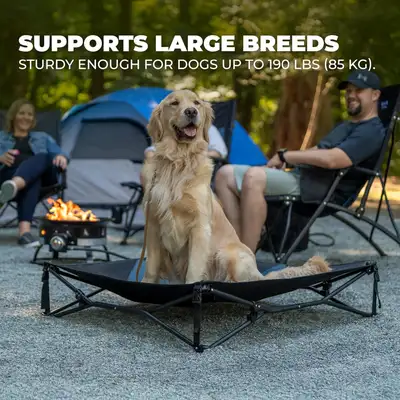 Large Outland Living Elevated Outdoor Dog Bed, View more