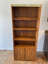 Bookshelf with Storage and Lighting