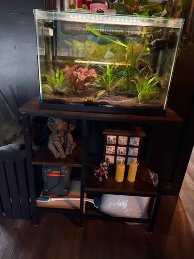 Aquarium, View more