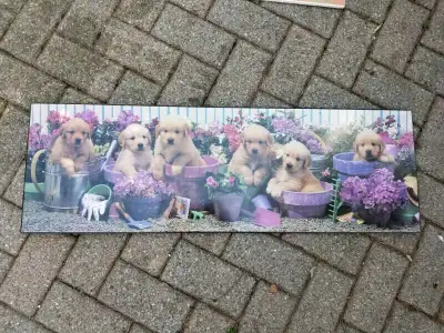 Anakin picture is brand new Puppy picture is like new Baby picture has a few minor marks on it