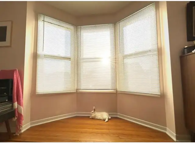 Free Blinds in Free Stuff in Hamilton - Image 3