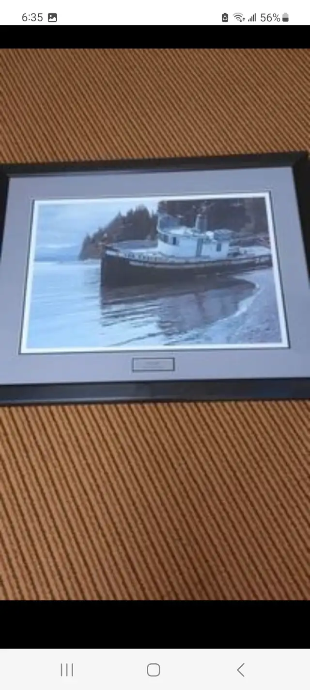 Sea Eagle framed print by Daniel Smith in Arts & Collectibles in Mississauga / Peel Region - Image 6