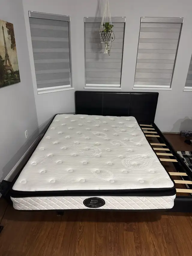 queen bed frame and mattress in Beds & Mattresses in Delta/Surrey/Langley - Image 4