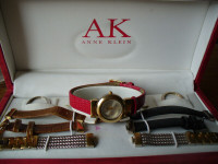Coffret d'une montre interchangeable ANNE KLEIN DIAMOND