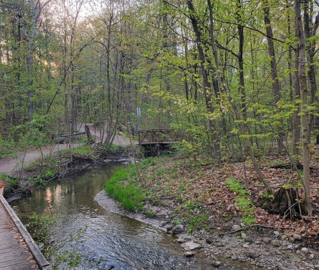 One bedroom basement unit. Seperate entrance. in kitchener Long Term