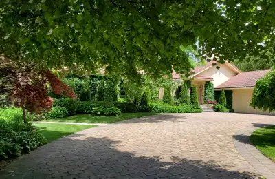 Lawn Care/Spring Clean Ups, View more