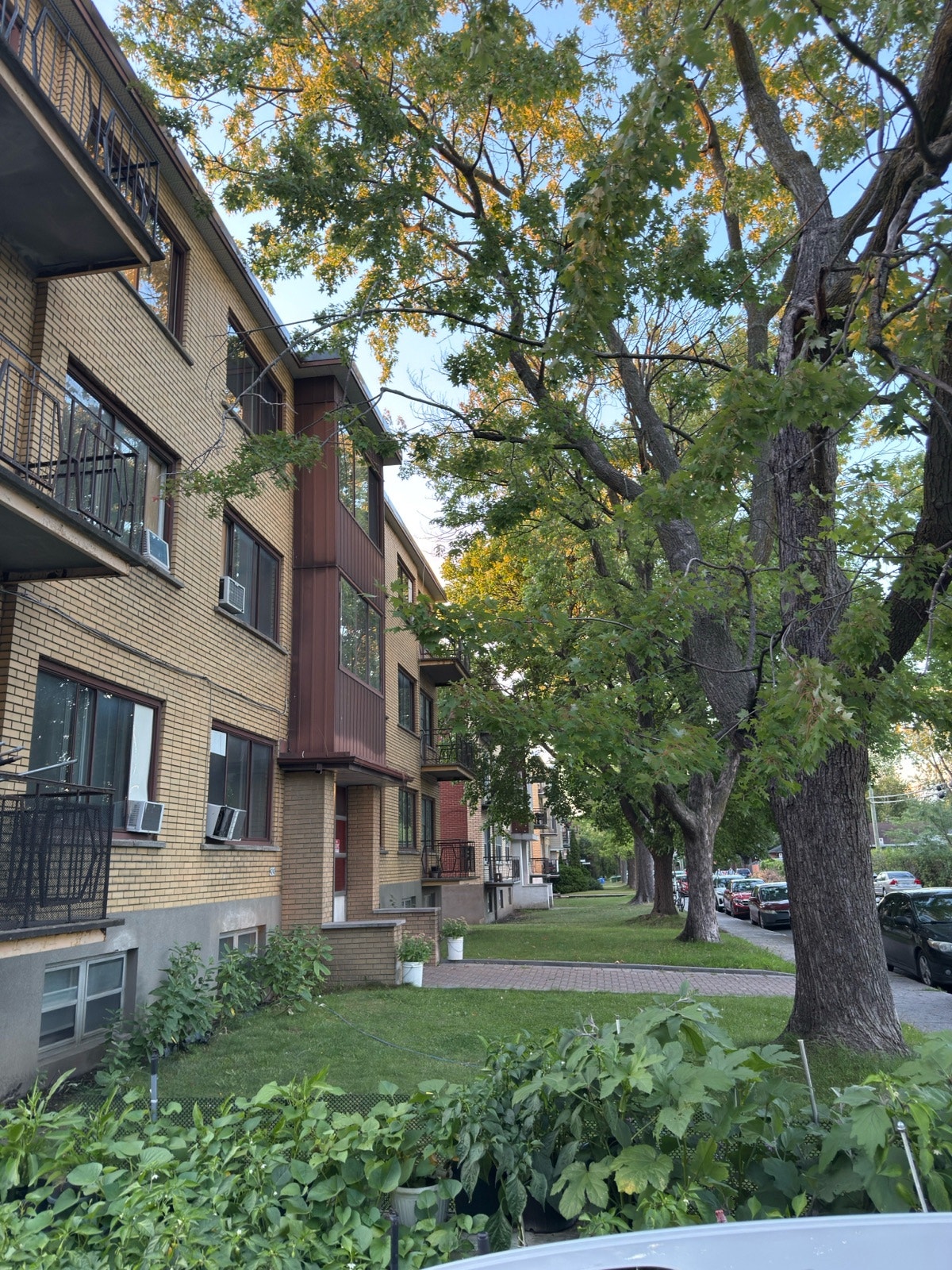 4240 Av. Kindersley — photo 1
