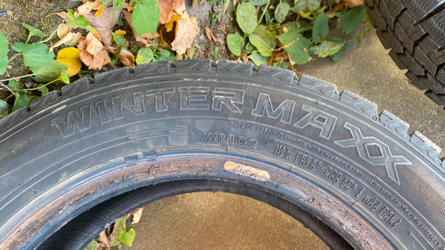 Winter Tires (Dunlop) in Tires & Rims in Ottawa - Image 3