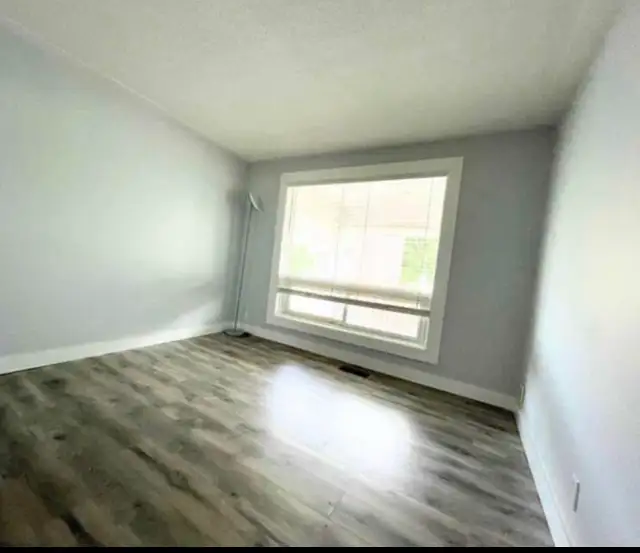 1 bedroom available to rent in a 2 bedroom apartment in Long Term Rentals in Charlottetown - Image 5
