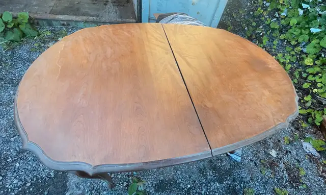 Antique dining set in Dining Tables & Sets in Kingston - Image 6