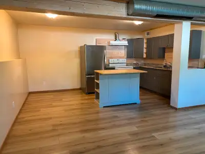2 bedroom Riverdale Basement Suite available July 1 or Aug 1