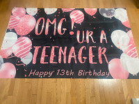 Birthday Party Decorations - Turning 13! New & like new pieces