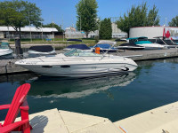 SeaRay 22 foot