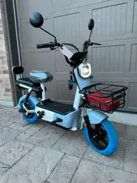 Brand New EBike (Removable Battery)