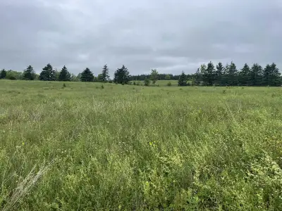4.8 Acres Pictou County Build your dream property on this beautiful 4.8-acre cleared lot on Laggan R...