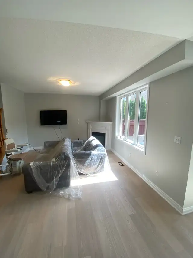 AFFORDABLE, PROFESSIONAL PAINTER 523046312624803849