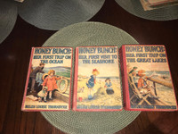 HONEY BUNCH BOOKS-LAKE-OCEAN-LAKE