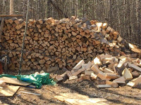 Firewood for SALE Edson Area