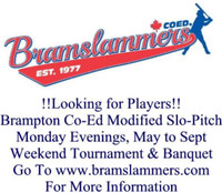 Brampton co-ed softball