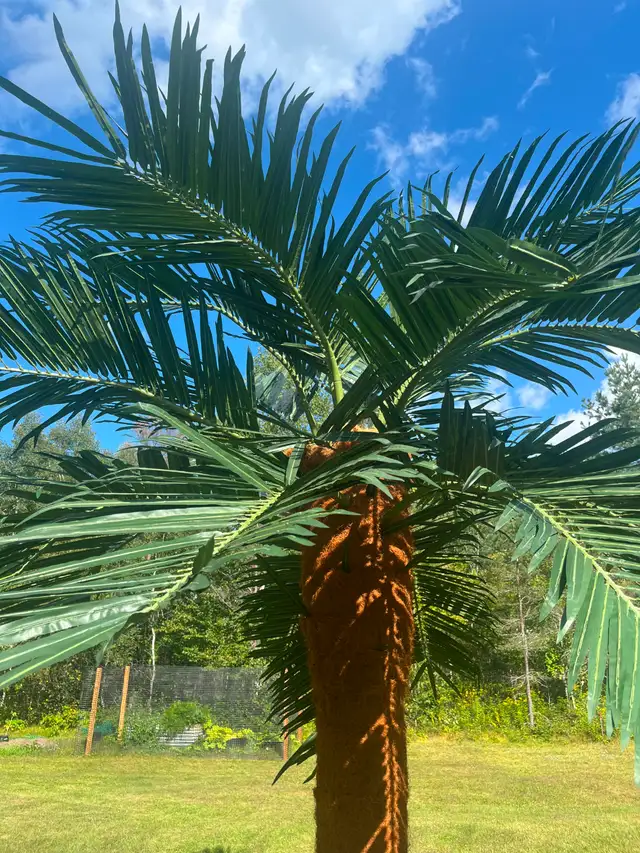 Artificial Palm Tree557020058359572481