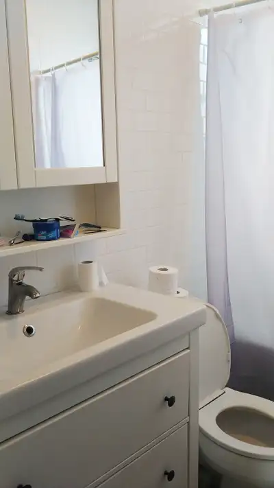 One bedroom for rent in a 2 bed apartment in house apartment