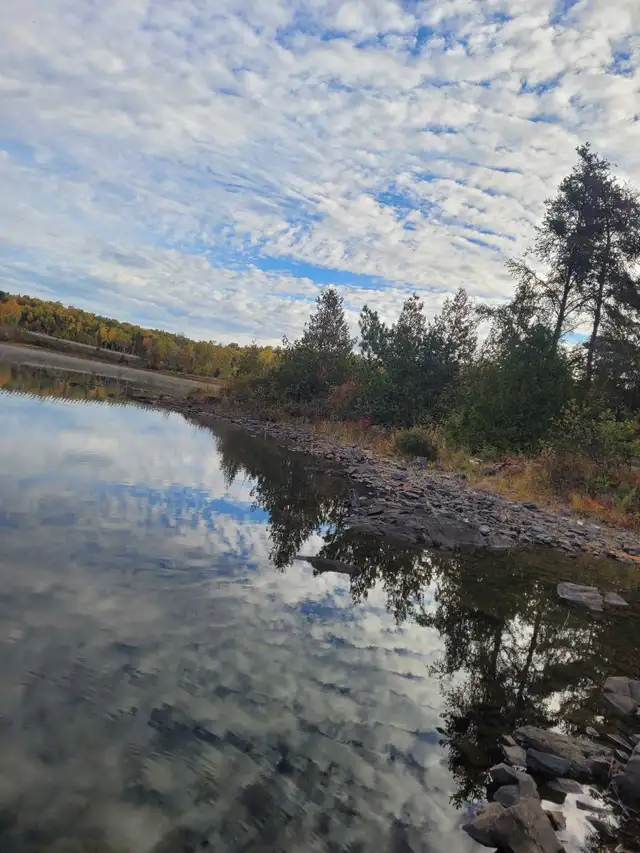 looking for fishing buddy