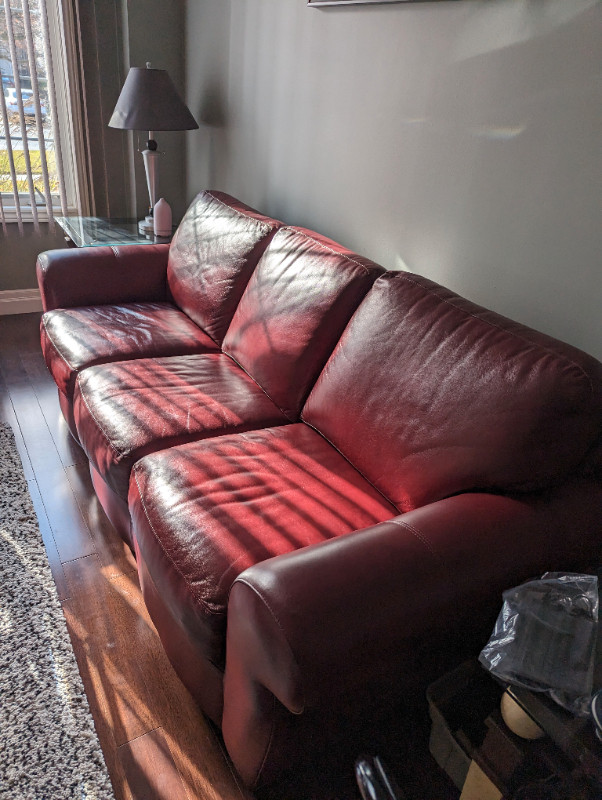 Premium Leather Sofa & Loveseat in Couches & Futons in Hamilton - Image 3