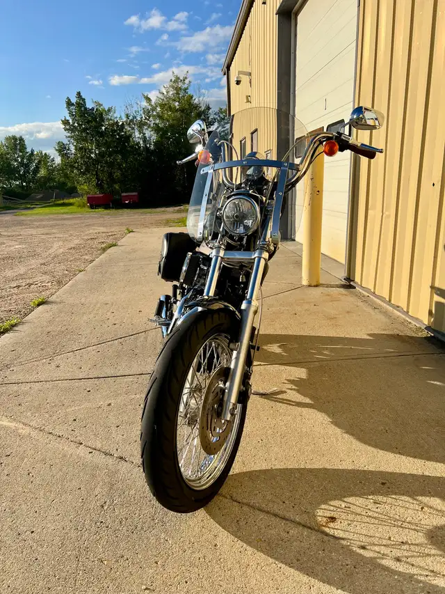 2006 Harley Davidson Sportster 1200 Low in Street, Cruisers & Choppers in Saskatoon - Image 5