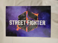 Street Fighter 6 Collector's Edition - Sony PlayStation 5 - PS5