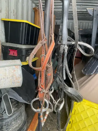 70 for the brown one and 95 for the black Obo