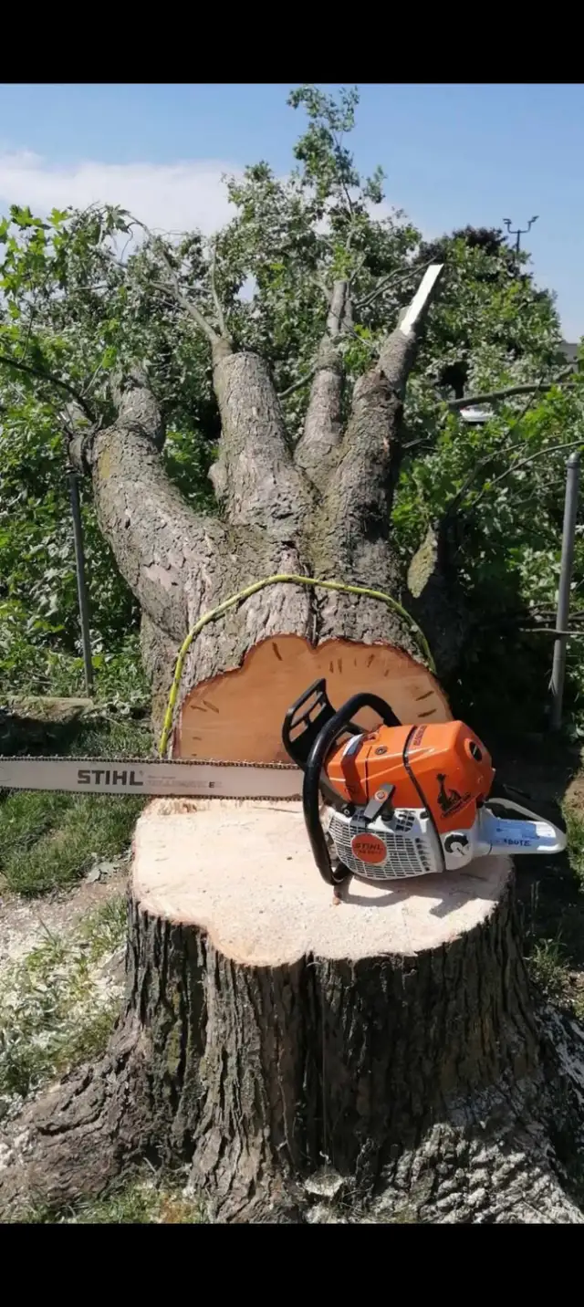 Tree service62864354288003121
