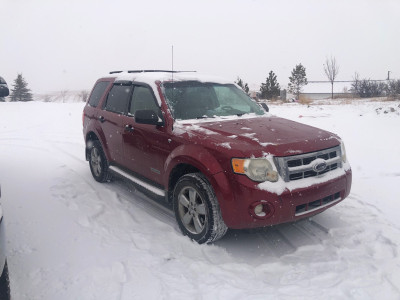 2008 ford escape XLT