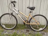 adult mountain bike